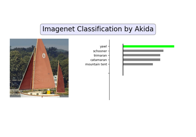 AkidaNet/ImageNet inference